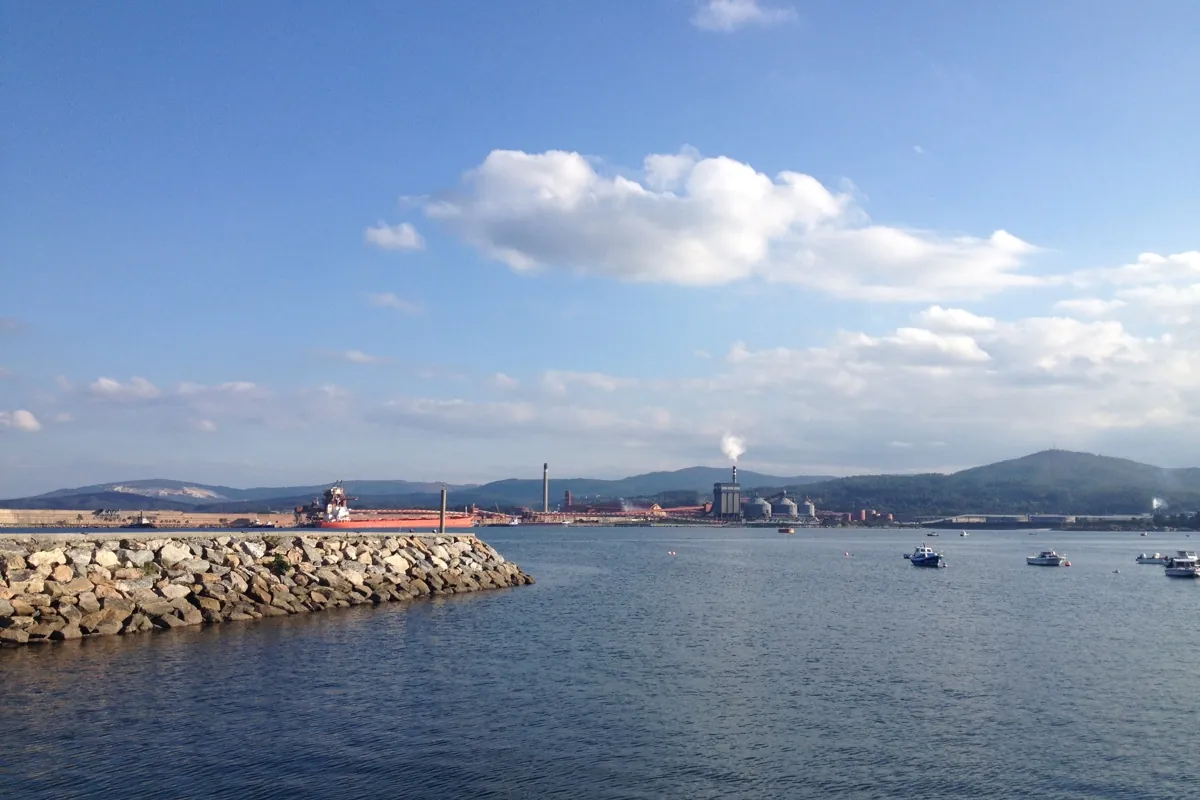 Cervo ➔ Viveiro